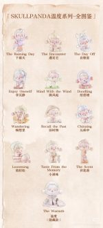 Skull Panda The Warmth Series Blind Box - Image 5